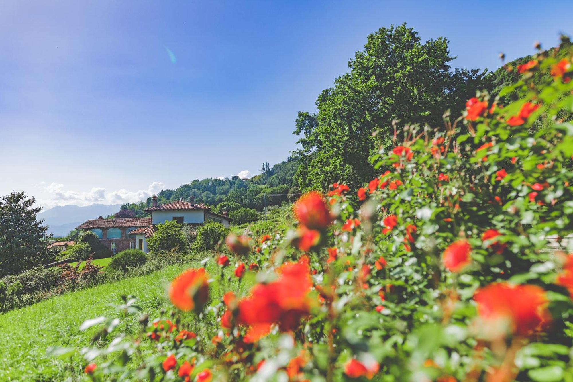 Myvilla Suites Palazzo Canavese Bagian luar foto